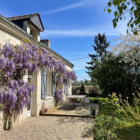 Chambres D Hotes Avec Piscine Et Spa La Foliere Saumur Villebernier Dış mekan fotoğraf