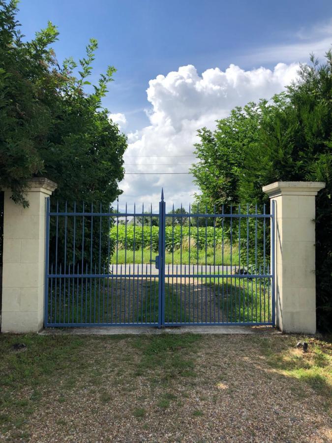 Chambres D Hotes Avec Piscine Et Spa La Foliere Saumur Villebernier Dış mekan fotoğraf
