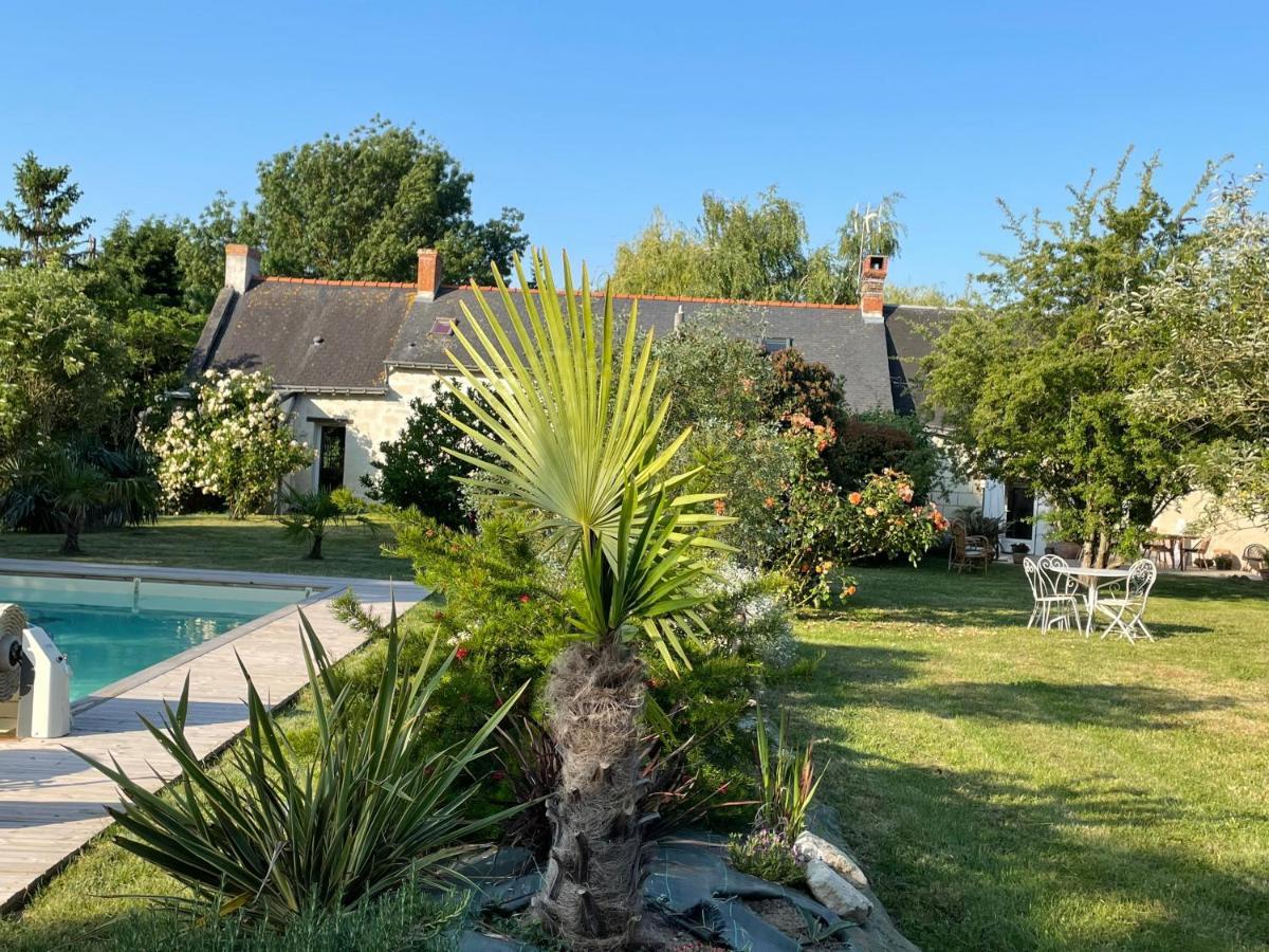 Chambres D Hotes Avec Piscine Et Spa La Foliere Saumur Villebernier Dış mekan fotoğraf