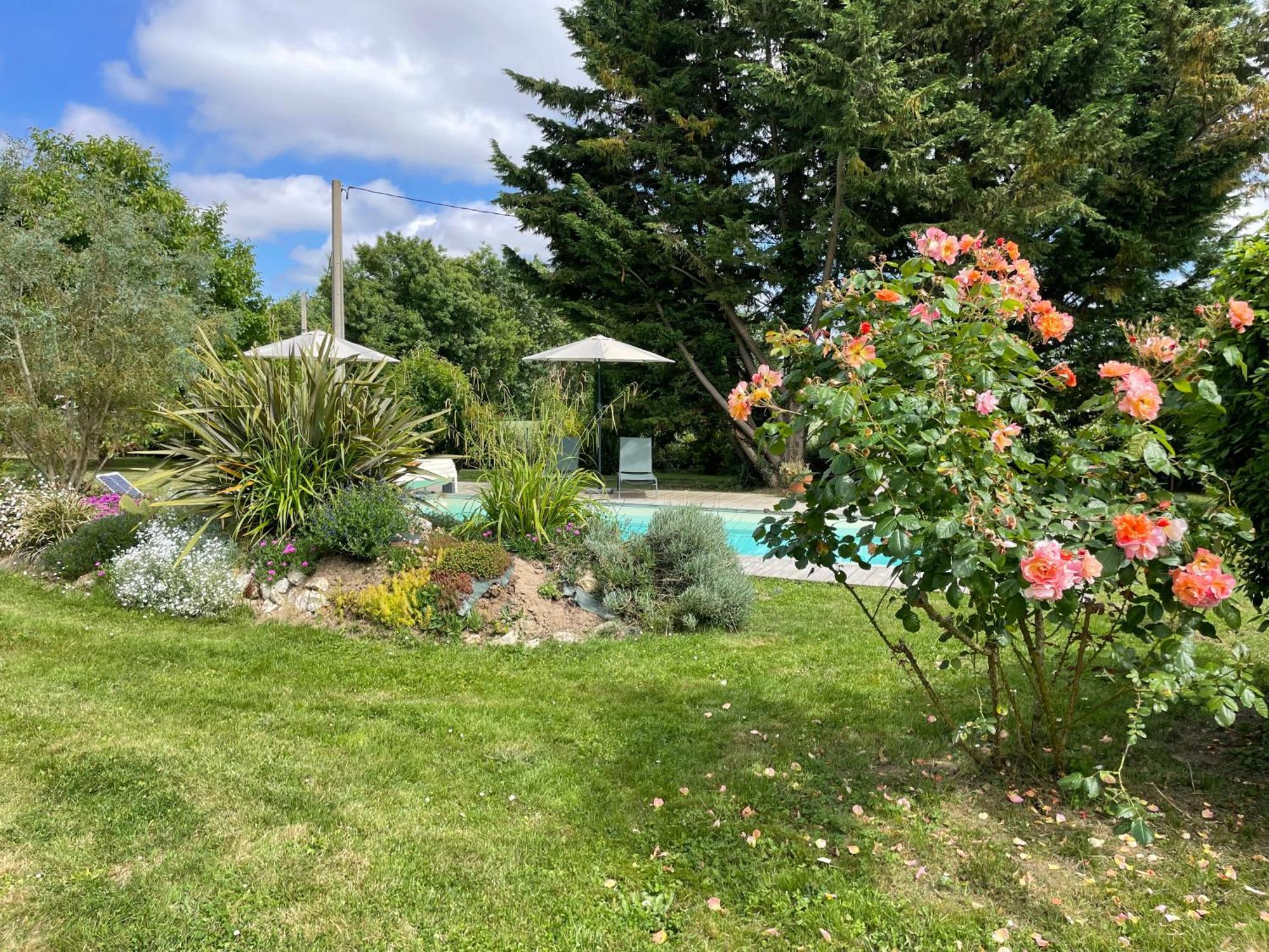 Chambres D Hotes Avec Piscine Et Spa La Foliere Saumur Villebernier Dış mekan fotoğraf